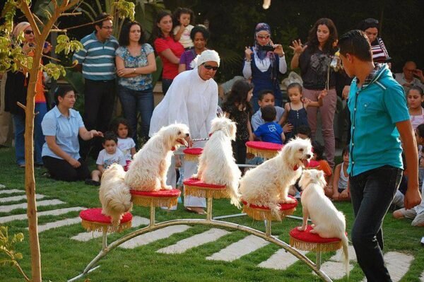 ⁦شو كلاب⁩ - الصورة ⁦2⁩