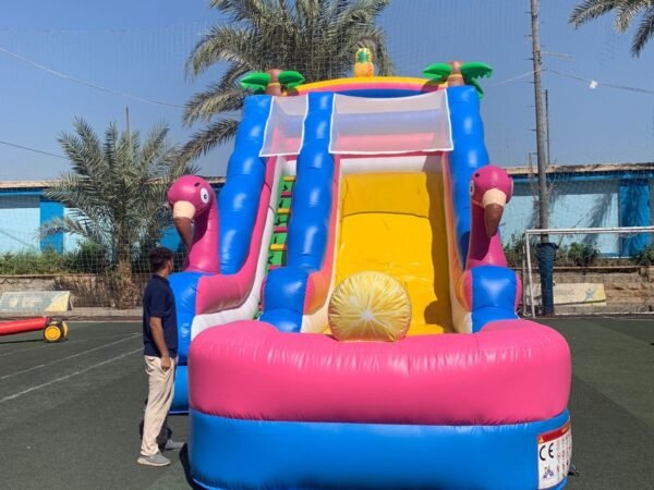 زوحليقه فلامنجو